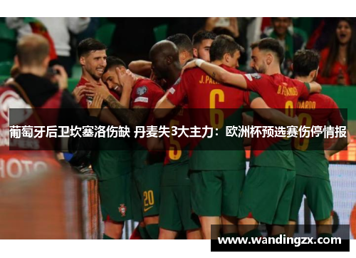 葡萄牙后卫坎塞洛伤缺 丹麦失3大主力：欧洲杯预选赛伤停情报