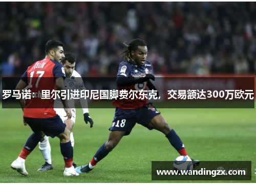 罗马诺：里尔引进印尼国脚费尔东克，交易额达300万欧元